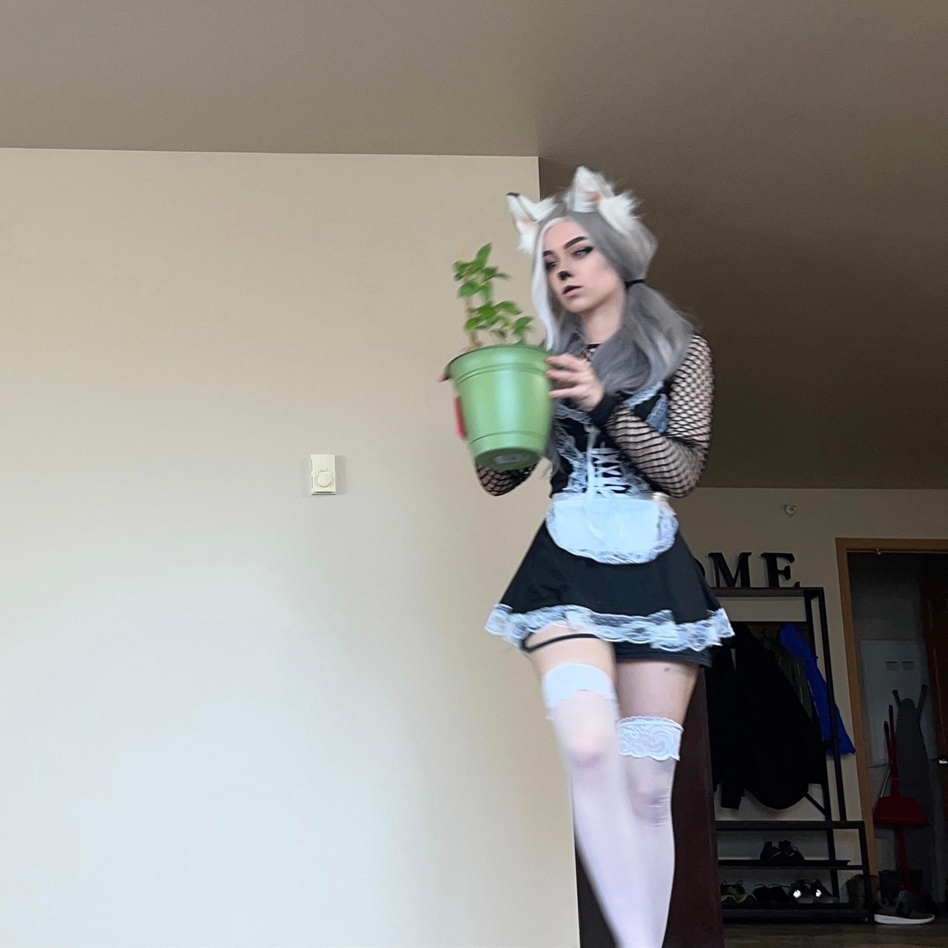 Awkspew_roo2 / lilith zulaykha / omw2fyd Fuites Nues OnlyFans 1