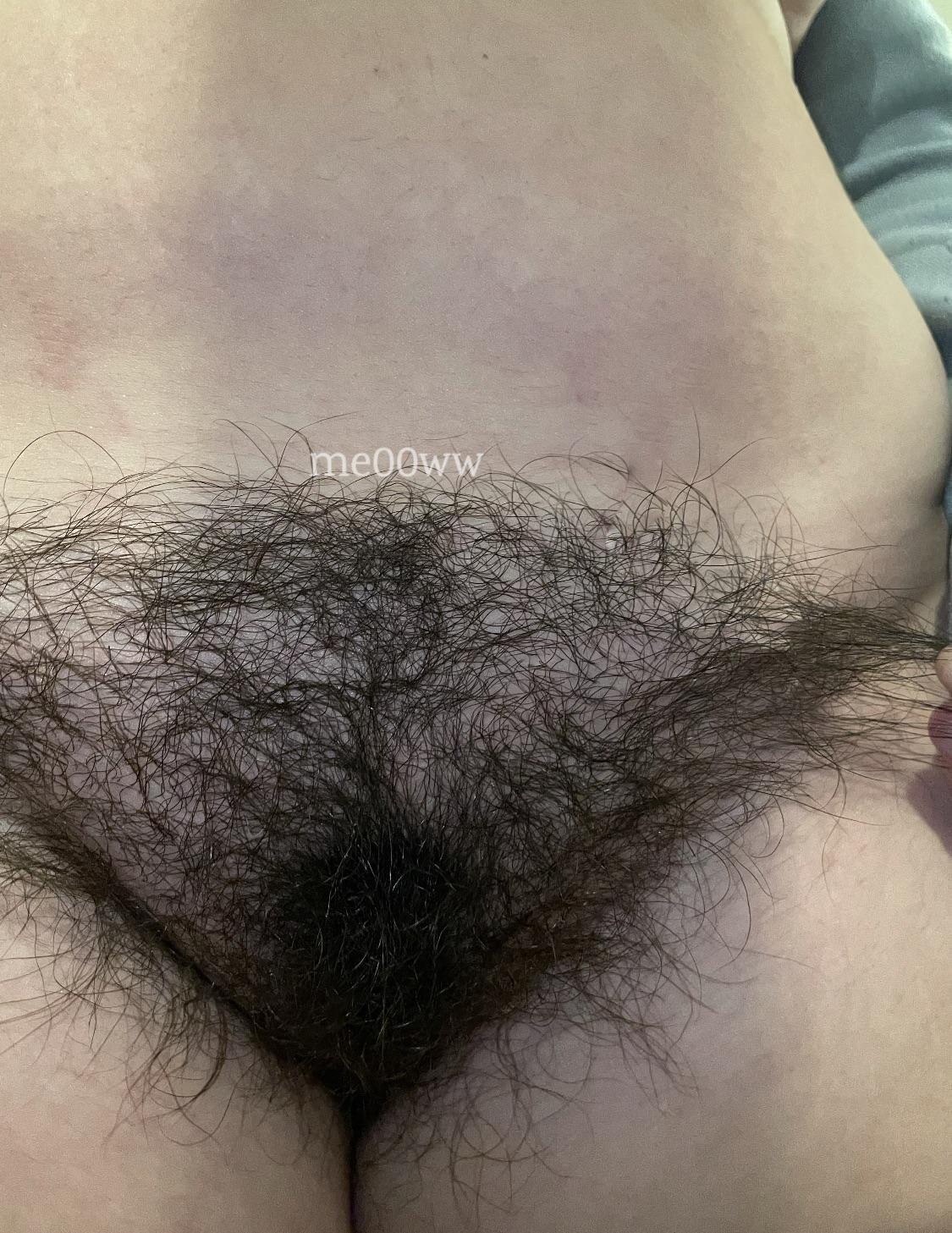 Femmes Poilues / pearlygirly06 Fuites Nues OnlyFans 1