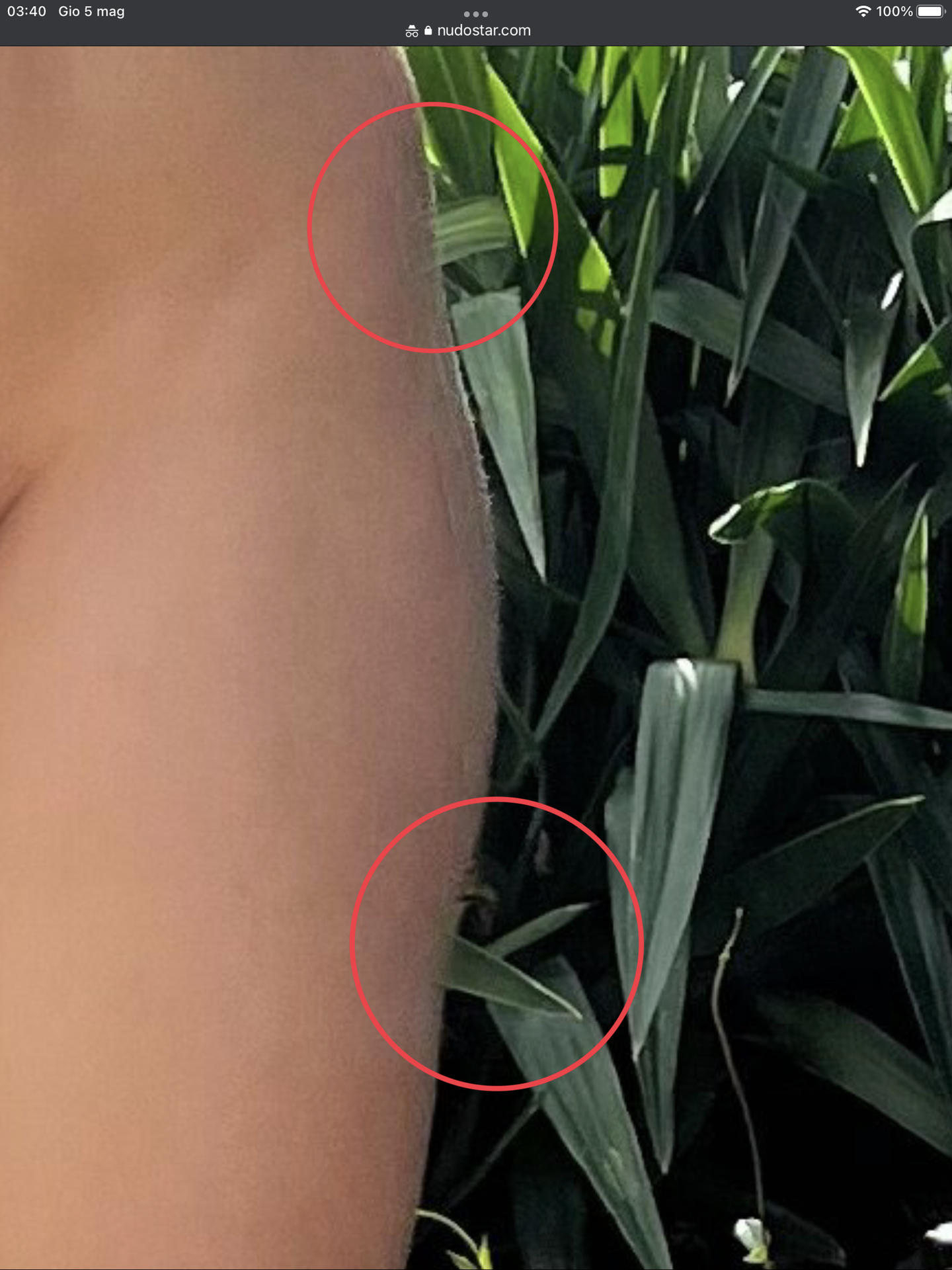 Stefania Ferrario / stefaniaferrario Fuites Nues OnlyFans 1