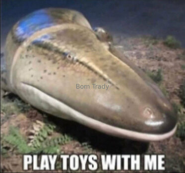 executionergf / executioner.gf Fuites Nues OnlyFans Photo 22