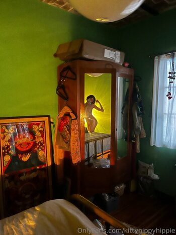 kittynippyhippie / littlenippyhippie Fuites Nues OnlyFans Photo 18