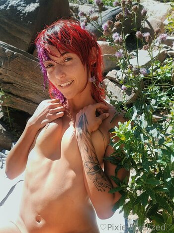 PixiePixelized Fuites Nues Photo 24