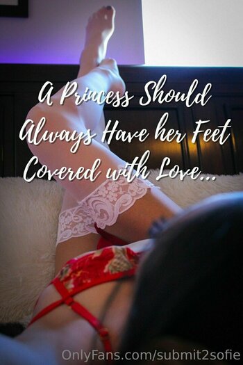 submit2sofie / slayerofliarsandscammers2.0 Fuites Nues OnlyFans Photo 10